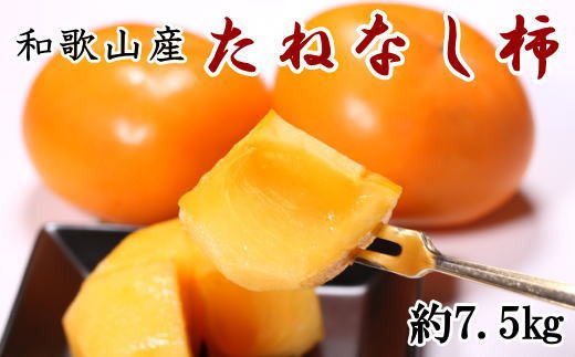 【秋の味覚】和歌山産のたねなし柿約7.5kg(L～4Lサイズおまかせ)※2025年10月上旬～2025年11月上旬頃に順次発送【tec402B】