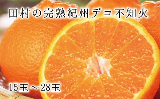 高級ブランド田村の完熟紀州デコ(不知火)15～18玉　※2027年2月下旬頃～3月中旬頃に順次発送予定(お届け日指定不可)【uot731】