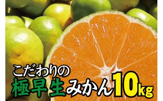 【2024年秋頃発送予約分】【農家直送】こだわりの極早生みかん 約10kg 【数量限定】 有機質肥料100% サイズ混合 ※2024年9月末より順次発送予定（お届け日指定不可）【nuk135B】