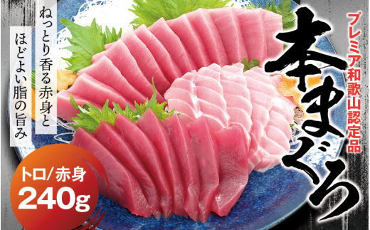 本マグロ（養殖）トロ＆赤身セット 240g 【11月発送】【配達日指定不可】高級 クロマグロ  中トロ 中とろ まぐろ マグロ 鮪 刺身 赤身 柵 じゃばらまぐろ 本マグロ 本鮪 【nks113B-11】