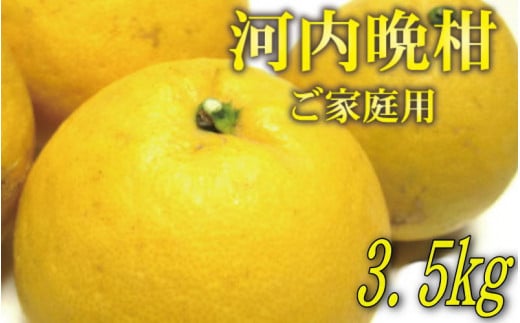 【2023年4月発送】【和製グレープフルーツ】有田育ちの河内晩柑(ご家庭用)　約3.5kg【ard028A】