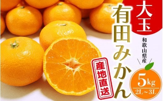 ＼ みかんの名産地 和歌山県産／ 農家直送 大玉 有田みかん 5kg （2L～3L） ひとつひとつ手選別で厳選【2026年11月下旬～2027年1月中旬ごろに順次発送予定】 | みかん フルーツ 果物 くだもの 有田みかん 蜜柑 柑橘【hdm001-1A】