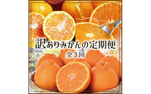 【3か月定期便】たっぷり届く♪訳ありみかんの定期便　温州みかん・不知火・清見オレンジ【tkb113】