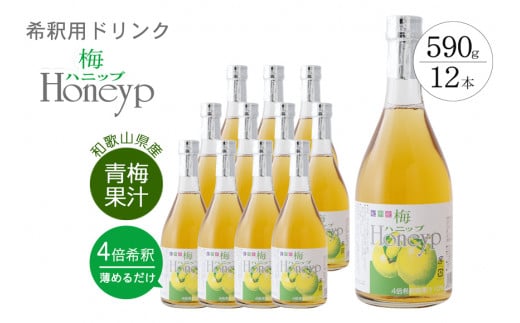 希釈用梅ドリンク 梅ハニップ 12本セット / 飲料 ジュース 梅 ドリンク【prm014B】