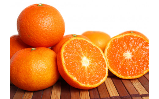 津之輝(つのかがやき)　5kg【予約】※2026年2月上旬頃～2026年2月下旬頃に順次発送予定(お届け日指定不可) 【uot761】