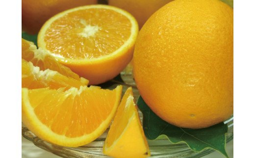 バレンシアオレンジ[約5kg]湯浅町田村産春みかん春かんきつ(無選別・果実サイズ混合)　※2026年6月中旬～2026年7月下旬頃に順次発送【sgtb491B】