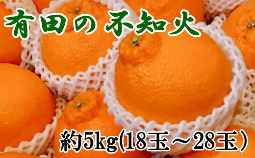 【濃厚】有田の不知火約5kg（18玉～28玉おまかせ） ※2025年2月中旬～2025年3月上旬頃に順次発送予定【tec860】