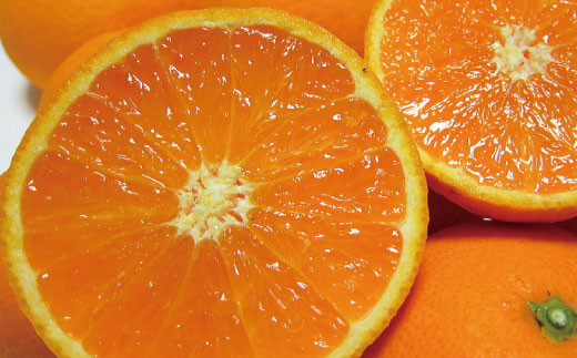 【2025年2月下旬～3月下旬順次発送予定】有田育ちの完熟清見オレンジ(ご家庭用)　約3kg