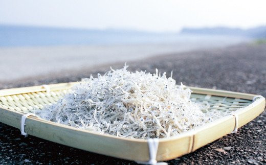 ちりめんのセット 網元セットB（上乾ちりめん450g+ちりめん佃煮400g） / しらす シラス ちりめん 佃煮 上乾【ojs001A-2】