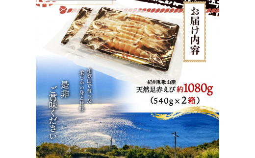 紀州和歌山産天然足赤えび540g×2箱（270g×4パック）化粧箱入 ※2026年12月上旬〜2027年2月上旬頃順次発送予定（お届け日指定不可）／海老 エビ えび クマエビ天然【uot773A】
