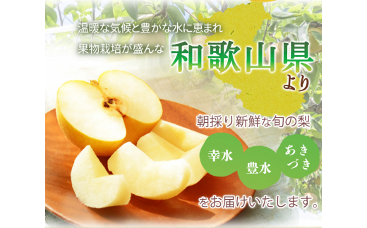 紀州和歌山産の梨 2kg 化粧箱入 ※2025年8月下旬頃〜9月上旬頃に順次発送 ※日付指定不可 梨 なし ナシ 果物 くだもの フルーツ 甘い【uot788】