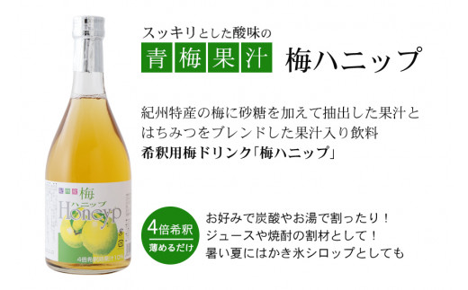 希釈用梅ドリンク 梅ハニップ 12本セット / 飲料 ジュース 梅 ドリンク【prm014B】