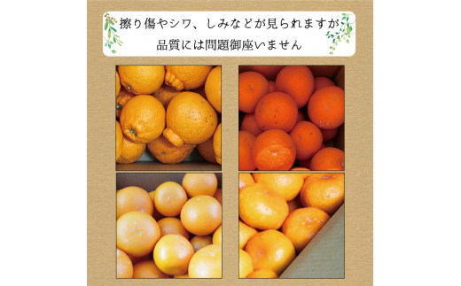 【3か月定期便】たっぷり届く♪訳ありみかんの定期便　温州みかん・不知火・清見オレンジ【tkb113】