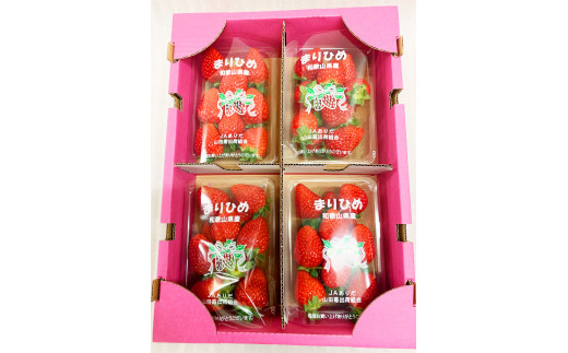 【来シーズン先行予約】紀州和歌山ブランドいちご「まりひめ」約２５０ｇ×４Ｐ　※2026年1月上旬頃～2026年3月上旬頃順次発送予定（お届け日指定不可）【uot758A】