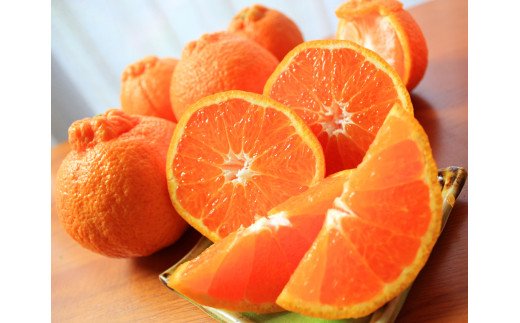 果肉プリプリ♪　完熟紀州デコ(不知火) 約5kg　※2026年2月下旬頃～2026年3月中旬頃発送【uot707A】