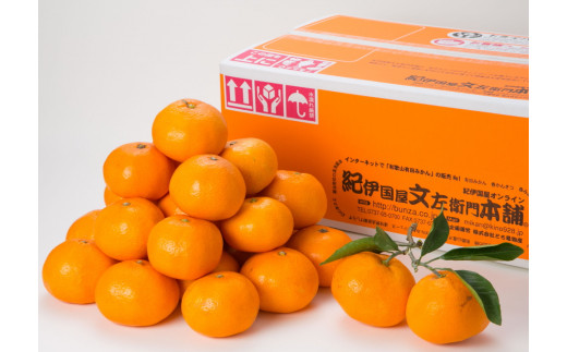 【予約受付】ブランド有田みかん　秀品5キロ/サイズお任せ　※2026年10月中旬～2027年1月中旬頃に順次発送予定（お届け日指定不可）　紀伊国屋文左衛門本舗【sgtb140C】