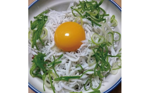 しらすとちりめん のセット 網元セットA（釜揚げしらす900g+ちりめん佃煮400g） / シラス しらす 釜揚げ ちりめん 佃煮【ojs001A-1】