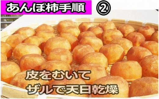 【県認定エコファーマー】あんぽ柿用生渋柿（平たねなし柿） 約4.5～5kg（約20～30玉）【2025年10月下旬頃から随時発送(日付指定不可)】-AP【art003A】