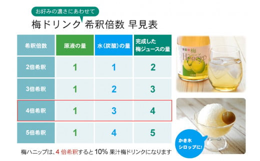 希釈用梅ドリンク 梅ハニップ 12本セット / 飲料 ジュース 梅 ドリンク【prm014B】
