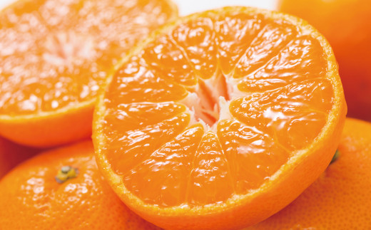 ブランド有田みかん【Ｌ】秀品10kg /／産地直送／薄皮で甘い美味しい和歌山県産／紀伊国屋文左衛門本舗　※2026年11月上旬～2027年1月中旬頃に順次発送予定（お届け日指定不可）【sgtb141C】