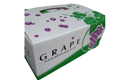 【予約受付】ブラックオリンピア 約1kg（2～3房）【8月中に順次発送】 巨峰に似たはちみつぶどうと呼ばれる幻のぶどう 【nuk114A】