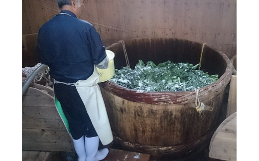 縲先眠螳ョ蜷咲黄縲代a縺ッ繧頑シャ繧サ繝繝医仙商貍ャ莉倥″縲代震bs002A縲