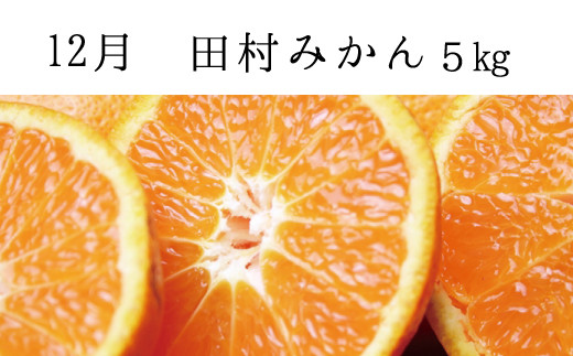 【全3回定期便】秋の味覚 果物定期便　柿・みかん　旬のフルーツを毎月お届け♪