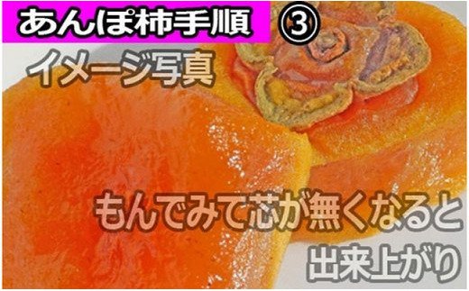 【県認定エコファーマー】あんぽ柿用生渋柿（平たねなし柿） 約4.5～5kg（約20～30玉）【2025年10月下旬頃から随時発送(日付指定不可)】-AP【art003A】