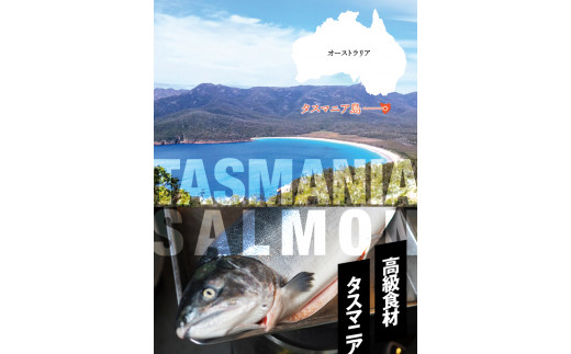 タスマニア産サーモンブロック 3ブロック 合計600g サーモン 鮭 さけ 刺身 さしみ 冷凍 オーストラリア産【nks701A】