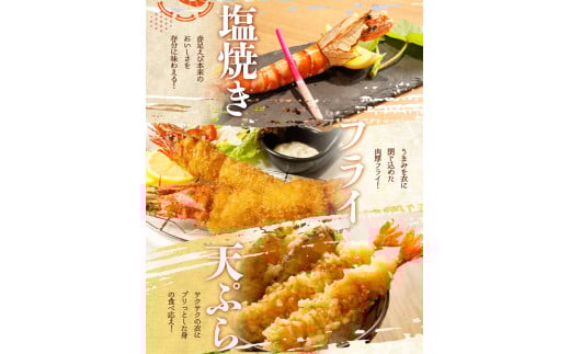 紀州和歌山産天然足赤えび540g×2箱（270g×4パック）化粧箱入 ※2026年12月上旬〜2027年2月上旬頃順次発送予定（お届け日指定不可）／海老 エビ えび クマエビ天然【uot773A】