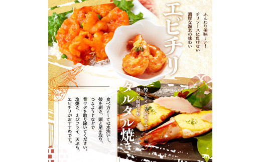 紀州和歌山産天然足赤えび540g×2箱（270g×4パック）化粧箱入 ※2026年12月上旬〜2027年2月上旬頃順次発送予定（お届け日指定不可）／海老 エビ えび クマエビ天然【uot773A】