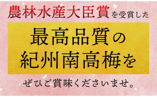 最高級紀州南高梅・大粒はちみつ梅干し 1.4kg【ご家庭用】  / 梅干 梅干し 梅 南高梅 大容量 人気 大粒 ご家庭用【inm100A】