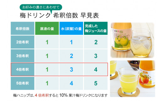 希釈用梅ドリンク 梅ハニップ 完熟梅ハニップ 各3本セット 【prm022B】