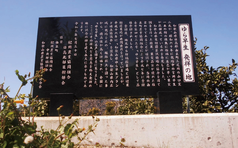 ≪秀品≫和歌山由良町産 由良早生みかん 約3kg サイズおまかせ【sml107C】