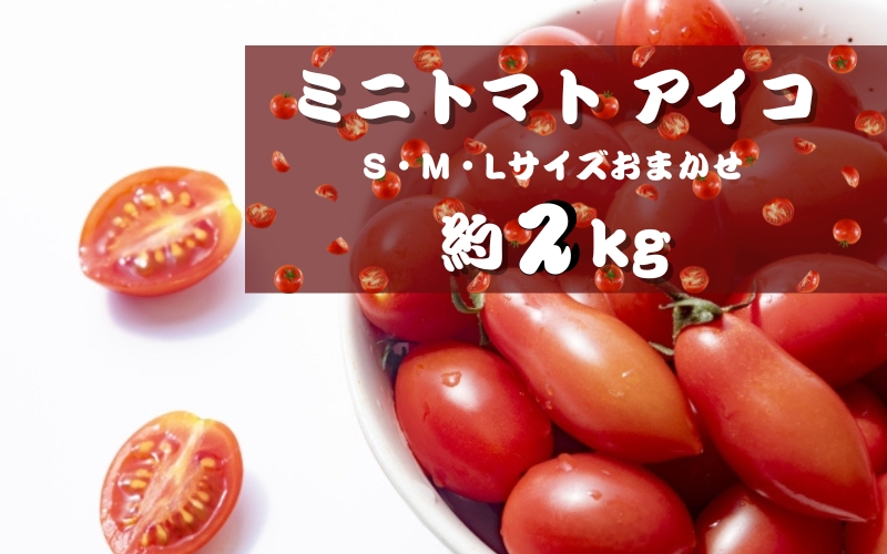 ミニトマト アイコ (松トマト） 約2kg（S・M・Lサイズおまかせ）【1月発送】【sml131A-1】