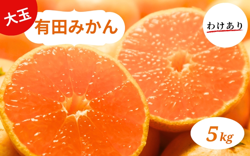 和歌山県産 有田みかん 大玉5kg 2L～3L 訳あり　※2026年10月中旬～2027年1月中旬頃に順次発送予定（お届け日指定不可）【ミカン 有田みかん 和歌山 有田 訳あり】【smt001A】