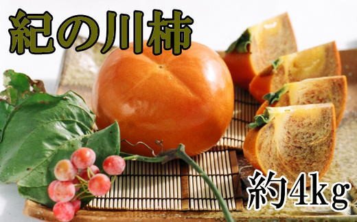 【希少】紀の川柿(種無し)約3.5～4kg・秀品　【tec404B】