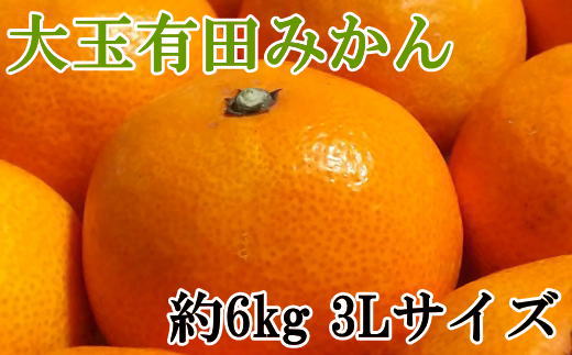 [秀品]和歌山有田みかん　6kg(3Lサイズ)※2024年11月中旬～1月中旬頃順次発送予定（お届け日指定不可）