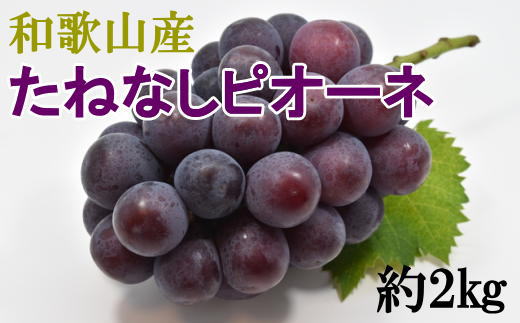 【定期便全3回】産直・和歌山フルーツ定期便（桃・ピオーネ・有田みかん）【tkb413】