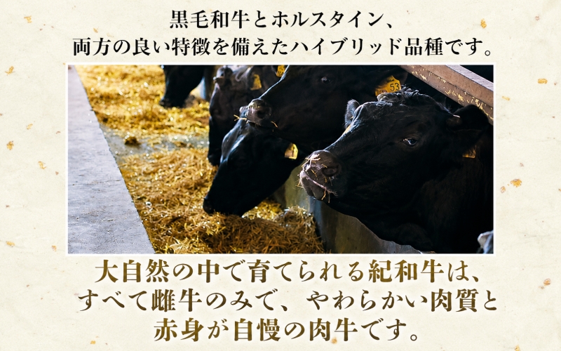 紀和牛すき焼き用ロース800g【冷蔵】 / 牛 牛肉 紀和牛 ロース すきやき 800g