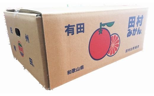 鬮倡エ壹ヶ繝ゥ繝ウ繝臥伐譚代∩縺九s縲10kg縲蝉コ育エ縲鯛サ2026蟷エ11譛井ク区流ス2027蟷エ1譛井ク区流鬆縺ォ鬆谺。逋コ騾∽コ亥ョ(縺雁ア翫¢譌・謖螳壻ク榊庄)縲訊ot505A縲