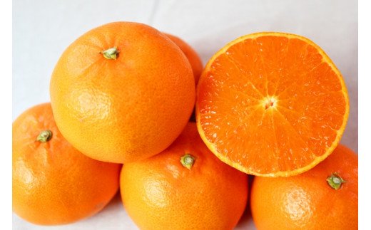 とろける食感！ジューシー柑橘　せとか　約3kg【予約】※2027年2月下旬頃〜2027年3月中旬頃 発送(お届け日指定不可)【uot506A】