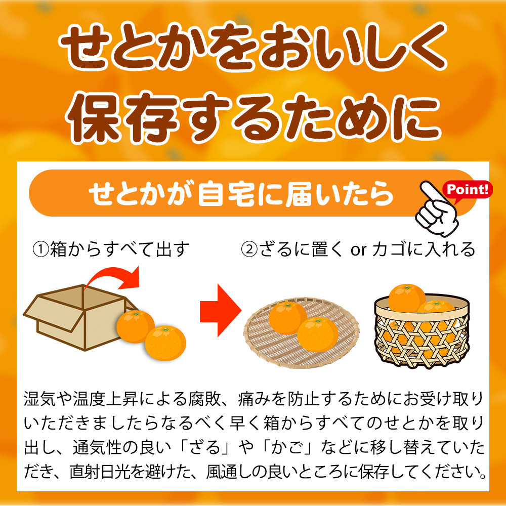 とろける食感！ジューシー柑橘　せとか　約3kg【予約】※2027年2月下旬頃〜2027年3月中旬頃 発送(お届け日指定不可)【uot506A】