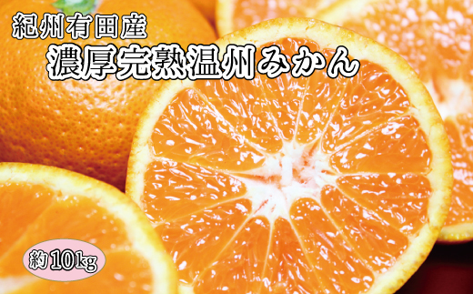完熟有田みかん　10kg　※2026年11月下旬～2027年1月下旬頃に順次発送予定(お届け日指定不可) 【uot705】