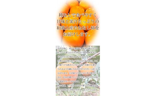 ã2026幎çºéåäºçŽãããå®¶åºçšãããããåæå±±ç§ã®å³èŠãå¹³æ žç¡æ¿ïŒã²ããããªãããïŒ3.5kgãuot740ã