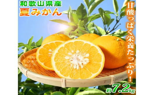夏みかん 7.2kg　※2027年4月中旬頃～2027年4月下旬頃に順次発送予定（お届け日指定不可）【uot775】
