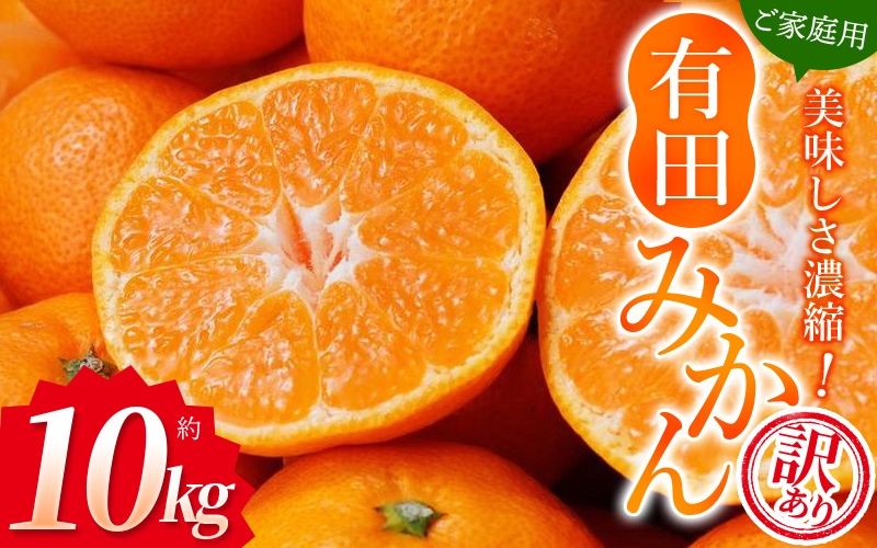 【訳あり】農家直送 有田みかん 約10kg ご家庭用 サイズ混合 ※2025年11月中旬より順次発送予定（お届け日指定不可）※北海道・沖縄・離島への配送不可　訳ありみかん 温州みかんイズ混合 訳ありみかん 温州みかん 有機質肥料100% ふるさと納税 柑橘 有田 産地直送【nuk138F】