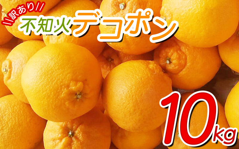 【訳あり】ちょこっと訳あり不知火デコポン 約10kg【ご家庭用】  サイズ混合　※2025年2月中旬より順次発送予定（お届け日指定不可）/ 不知火 デコポン みかん 訳あり ワケアリ 家庭用 ご家庭用 10kg 【nuk121B】