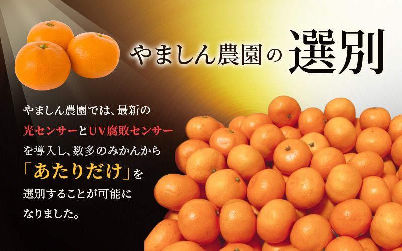＼光センサー選別／極 有田みかんプレミアム 約5kg【光センサー 高糖度選別品】2S～Lサイズ 有機質肥料100% ※2026年11月～2027年1月に順次発送予定 ※北海道・沖縄・離島への配送不可 【nuk155G】