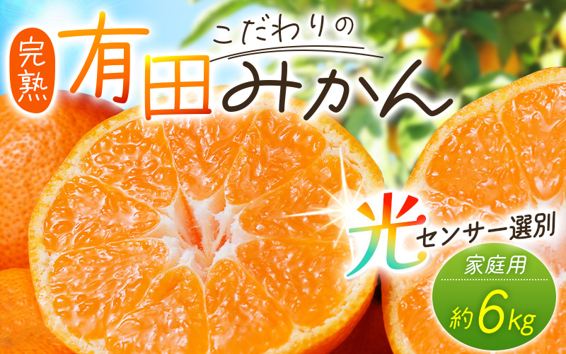 【12月発送】＼光センサー選別／農家直送 こだわりの完熟有田みかん 約6kg＋250g(傷み補償分) 【ご家庭用】みかん ミカン 有田みかん 温州みかん 柑橘 有田 和歌山 産地直送【nuk102-2B】